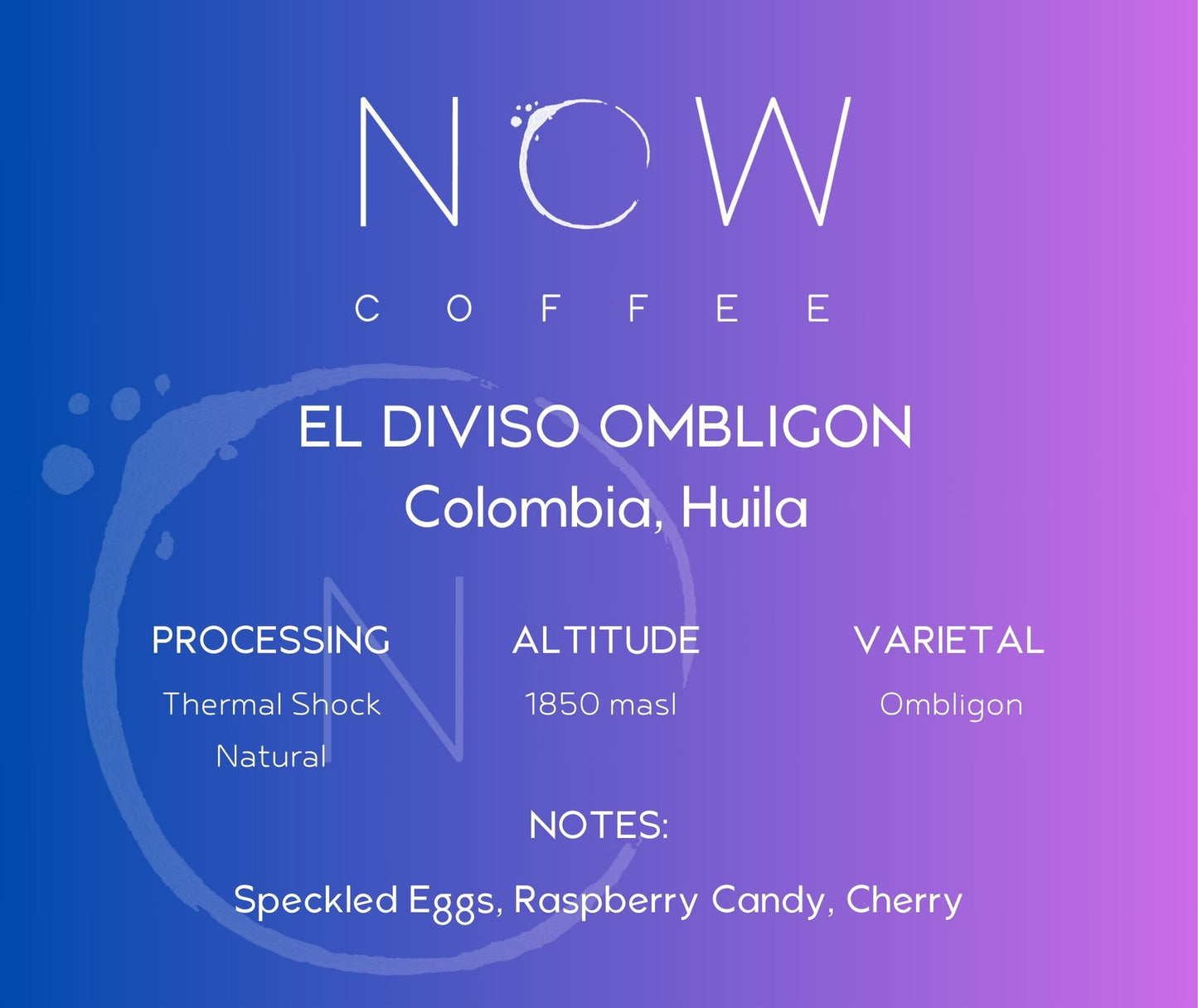 EL DIVISO OMBLIGON | THERMAL SHOCKED NATURAL | KGUNE’S SA NATIONALS 2025