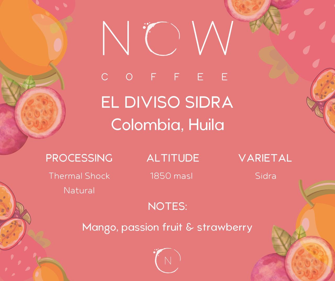 EL DIVISO SIDRA | THERMAL SHOCKED NATURAL | COMPETITION RELEASE