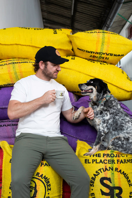 EL PLACER WINE YEAST | DOUBLE FERMENTATION | EXCLUSIVE RELEASE