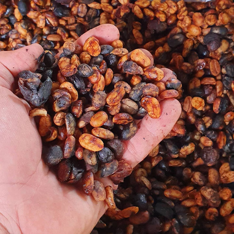 LA JULIA GESHA | ANAEROBIC RED HONEY | SPECIAL RELEASE