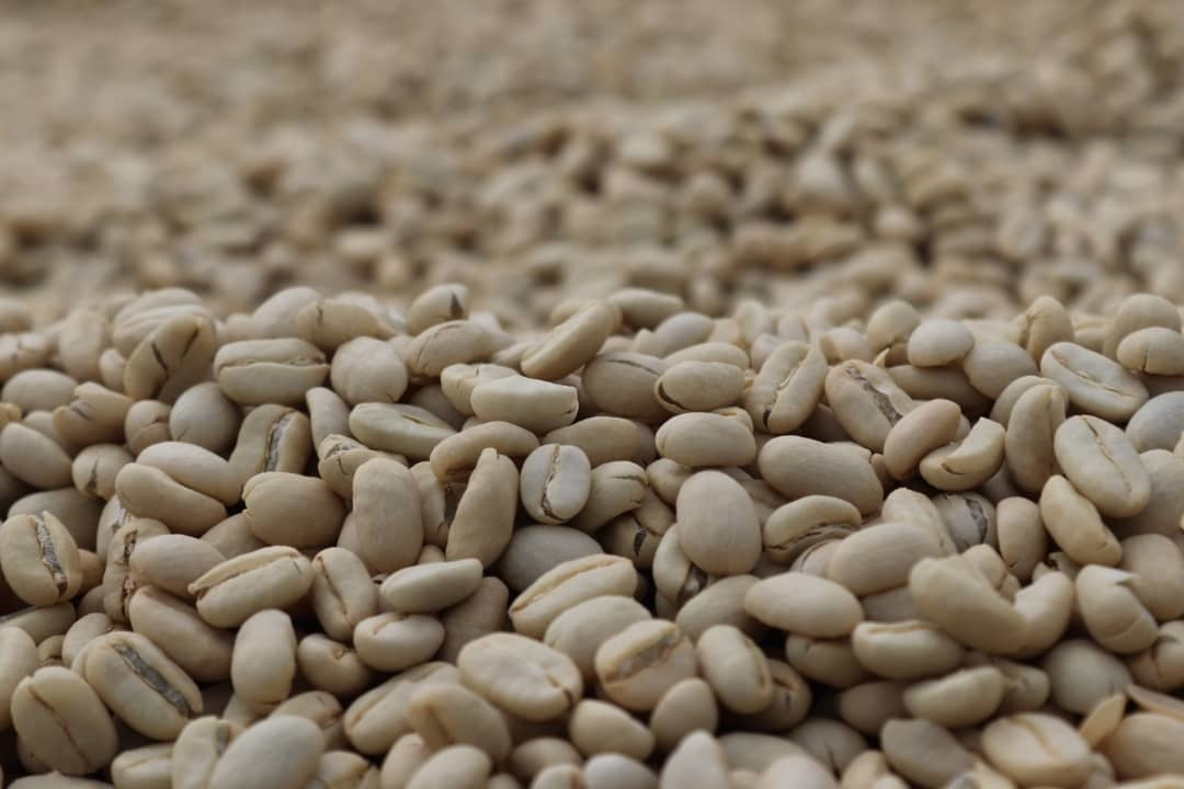 Home Barista Course