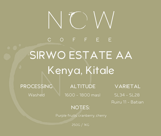 SIRWO ESTATE AA | KENYA