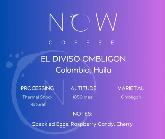 EL DIVISO OMBLIGON | THERMAL SHOCKED NATURAL | SPECIAL RELEASE