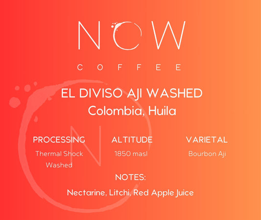 EL DIVISO AJI WASHED | THERMAL SHOCKED WASHED | SPECIAL RELEASE