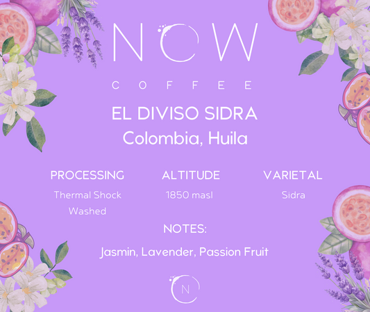 EL DIVISO WASHED SIDRA | THERMAL SHOCKED WASHED | COMPETITION RELEASE