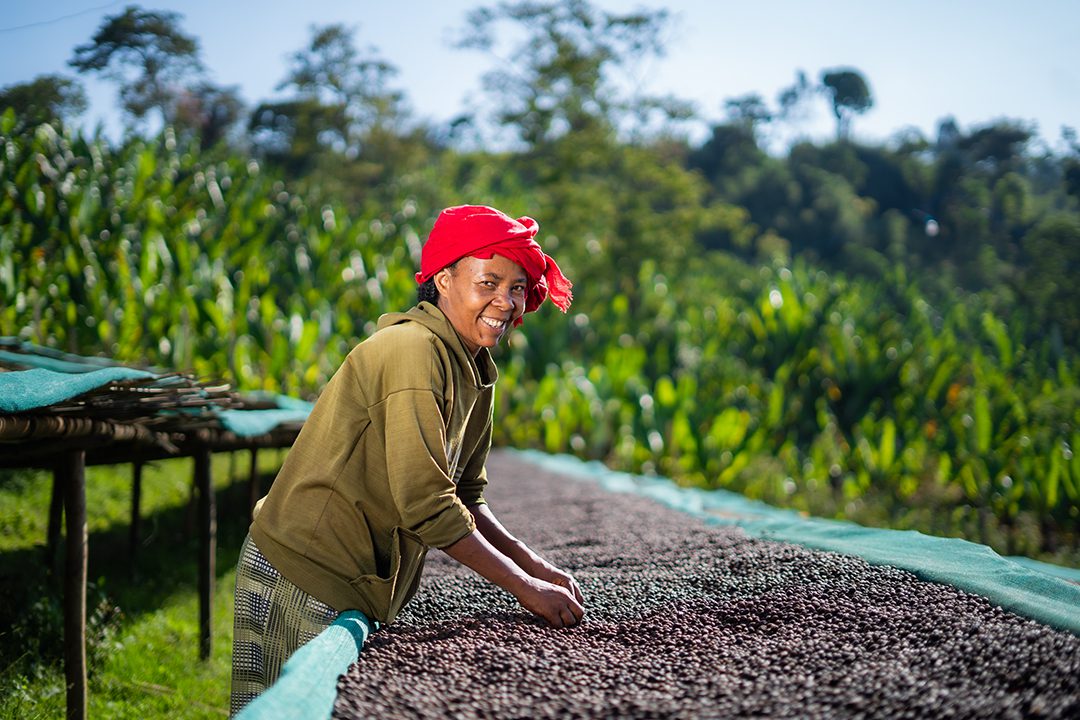 ALO HONEY | ETHIOPIA | SPECIAL RELEASE