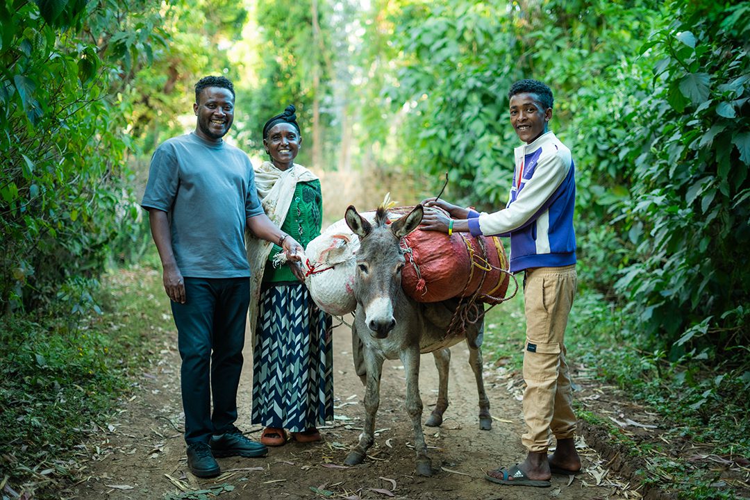 ALO HONEY | ETHIOPIA | SPECIAL RELEASE