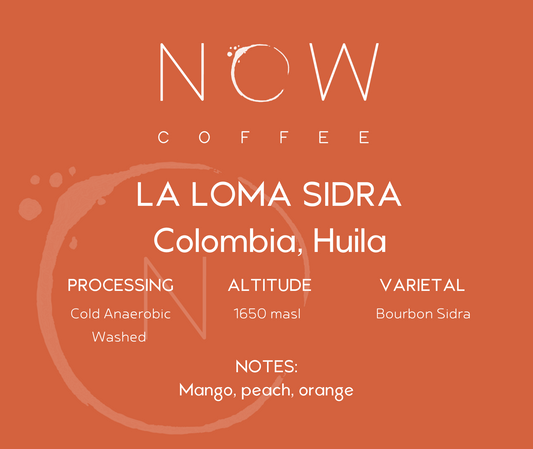 LA LOMA SIDRA | COLD WASHED | SPECIAL RELEASE