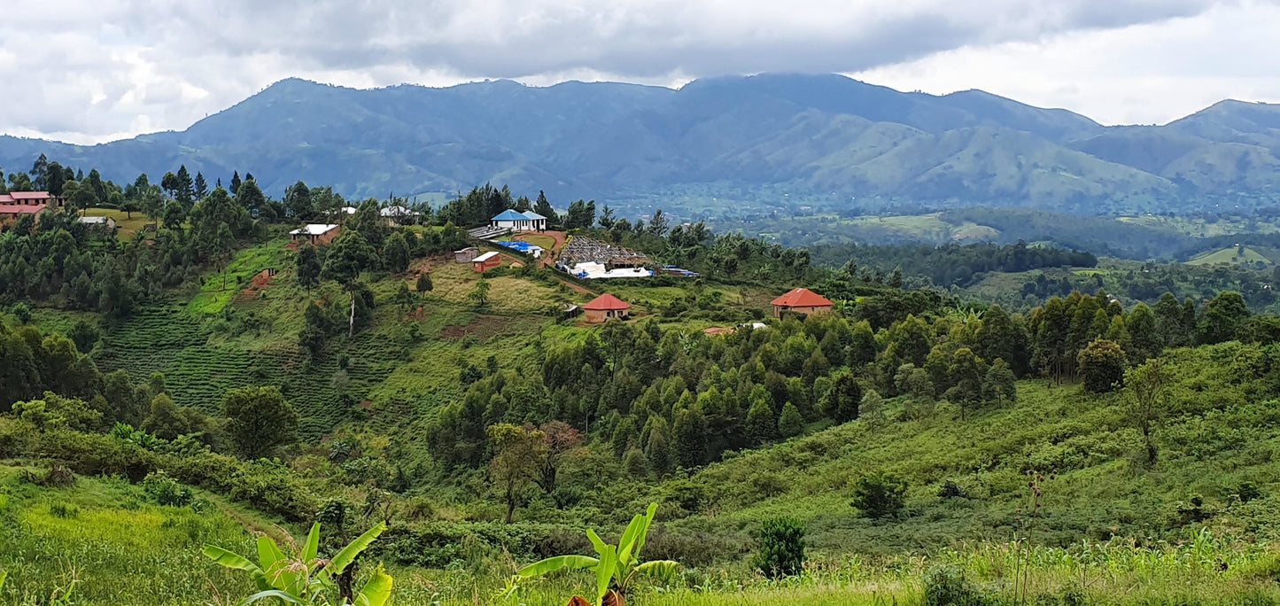 KINGHA NATURAL | UGANDA